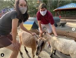 Orlando canine country club is a safe, secure, and stress free environment for your dog, with our large spacious indoor and outdoor facility. Confirmed Disney World S Petting Zoo Will Be Reopening This Weekend The Disney Food Blog