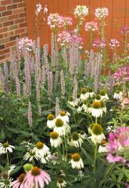2,784 likes · 30 talking about this. 6 Steps To A No Work Cottage Garden Better Homes Gardens