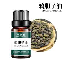 Image result for Brucea