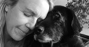 The symptoms of lymphoma in dogs are as varied as the different types of lymphoma, which can make it difficult to diagnose at first. Signs Your Dog Is Dying A Caring Message To Bring You Peace Dr Buzby S Toegrips For Dogs