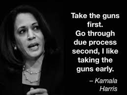 We should make it easier to get care, not harder. I Like Taking The Guns Early Trump Supporters Falsely Attribute President S Comment On Guns To Kamala Harris The Independent