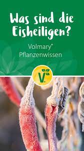 Während man in norddeutschland von 11. Was Sind Die Eisheiligen Wann Sind Die Eisheiligen Pflanzen Balkon Pflanzen Garten