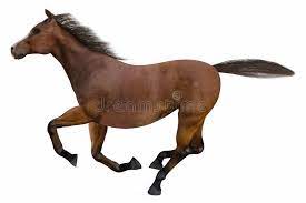 We did not find results for: 35 111 Running Horse Photos Free Royalty Free Stock Photos From Dreamstime