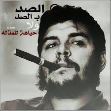 Muhammad Austin (mohamedmostafamostafa1666)