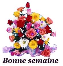 Résultat de recherche d'images pour "gifs animés gratuits bonne semaine"