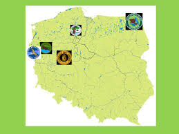 Siedziba dyrekcji parku znajduje się w miejscowości charzykowy, znany kurorcie turystycznym borów. Parki Narodowe Na Pojezierzach W Polsce Park Narodowy Bory Tucholski Ppt Pobierz