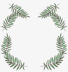 And i relish tea made from douglas fir needles more than from any other tree. Fir Leaf Pine Pine Needles Png Transparent Png 3150x3198 Free Download On Nicepng