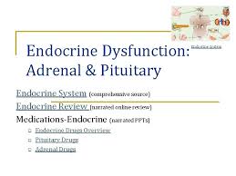 Endocrine Dysfunction Adrenal Pituitary Endocrine System Comprehensive Source