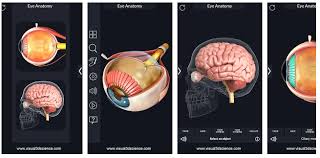 A great reviewer for students studying nursing. Top 30 Free And Essential Anatomy And Radio Anatomy Android Apps For Medical Students And Doctors