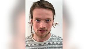 Taxidermist turns dead mice into earrings, refrigerator magnets