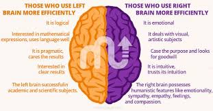 Pin On Brain Exercises