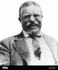 Theodore roosevelt hi-res stock photography and images