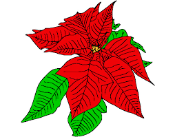 Dibujo De Flor De Pascua Pintado Por Gabriela01 En Dibujos Net El Dia 11 12 12 A Las 17 05 17 Imprime Pinta O Colorea Tus Propios Dibujos Müsaitliği kontrol etmek için lütfen tarihlerinizi girin. dibujo de flor de pascua pintado por