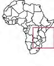 Image result for Thecacoris spathulifolia