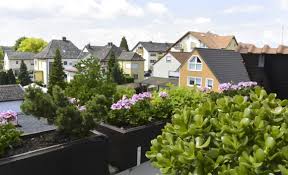 Suchen sie nach häuser zum kauf oder inserieren sie einfach und kostenlos ihre anzeigen. Altrip Tolle 4 Zimmer Maisonette Wohnung Mit Galerie Im Herzen Von Altrip Kuhn Objekte Limburgerhof