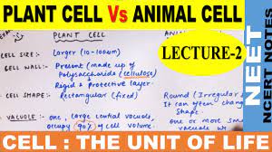 While these schemes allowed the identification and classification of bacterial strains, it was unclear whether these differences represented variation between distinct. Differences Between Plant Cell And Animal Cell In Hindi Tricks Ncert Class 11 Neet 2021 Youtube