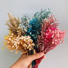 Maybe you would like to learn more about one of these? Dried Flowers Prices And Online Deals Sept 2021 Shopee Philippines