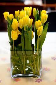 Yellow Tulips In A Square Vase Tulips In Vase Square Vase Square Glass Vase