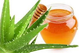 как сделать лекарство из алоэ и меда для желудка Recepty Aloe S Myodom Dlya Zheludka I Kishechnika Garmoniya Zhizni