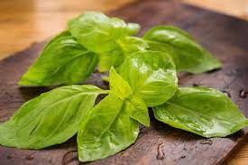Maybe you would like to learn more about one of these? What Is Basil And How Is It Used