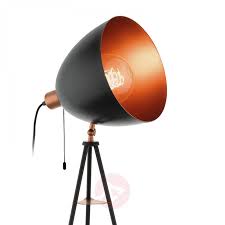 Stehleuchte Chester In Schwarz Kupfer Lampenwelt At