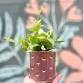 Heart and Soil Carved Planters Clay Hand Building Class