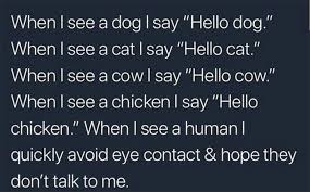 Pin On Funny Memes The term dank is typically used to describe memes that have been produced over the top, and in most make absolutely no sense.