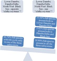 We did not find results for: The Lower Danube River Danube Delta North West Black Sea A Pivotal Area Of Major Interest For The Past Present And Future Of Its Fish Fauna A Short Review Sciencedirect