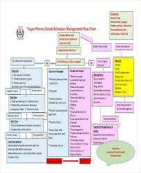 comprehensive classroom behaviour management plan flow chart