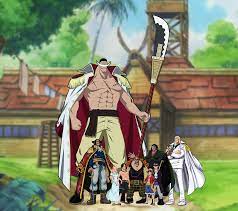 To Scale) Luffy's Extended Family : r/OnePiece