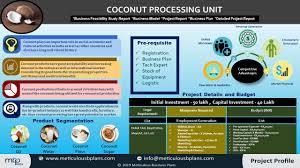 processingofcoconut into food products and beverages like