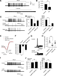 Hypodermic receptors (meissner corpuscle, merkel discs, pacinian corpuscle, ruffini endings, krause end bulbs, free nerve endings, sweat gland). Effects Of Norepinephrine And B2 Receptor Antagonist Ici 118 551 On Whisker Hair Follicle Mechanoreceptors Dissatisfy Merkel Discs Being Adrenergic Synapses Molecular Brain Full Text