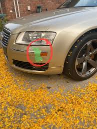 Image result for Pearl Beige 2004 A8L