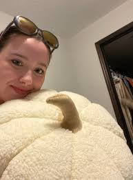 Aldi pumpkins and pillows