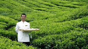 Check spelling or type a new query. Malaysia S Cameron Highlands Resort Is An Unabashed Celebration Of Tea Scones And Colonial Heritage