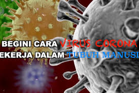 Suhu tubuh diatur oleh berbagai organ dan jaringan dalam tubuh, seperti hipotalamus di otak, sistem saraf, kulit, otot, dan jaringan lemak. Mengenal Lebih Dekat Corona Virus Disease Covid 19 Pandemic Dan Upaya Pencegahan Sultengmembangun Com