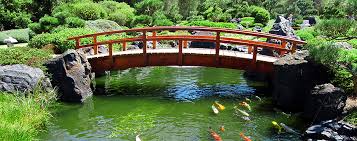 Miniature japanese garden design brings the oriental feeling into your outdoor home spaces and feng shui your backyard or front yard landscaping in creating and elegant style. Imperial Gardens Landscape Australia S 1 Oriental Garden Design Company