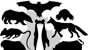 日本哺乳類学会 2024年度大会 神⼾大会