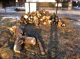 Berechnet wird üblicherweise allerdings nach einsatzfahrzeug und nach mannstärke. Kosten Baumfallung Preis Furs Baum Fallen Und Entfernen Hausbau Blog