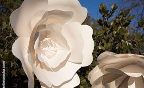 Plantilla para hacer flores de papel gigantes, medianas y pequeñas. Moldes Para Flores Gigantes De Papel En Pdf Flores Gerberas