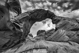 Beaches, mountains, flowers, oceans, trees, seasons & more Nature Photography When To Convert To Black And White