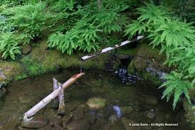 Thingiverse is a universe of things. 21 The Butchart Gardens Japanese Garden Shishi Odoshi Deer Scarer Janet Davis Explores Colour