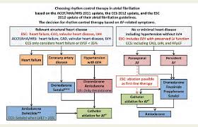 Image result for Atrial Fibrillation Rhythm Control