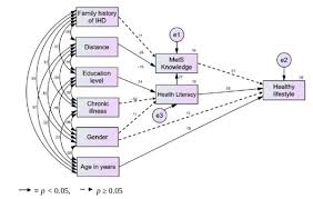 Determinants Of Health Literacy And Healthy Lifestyle Against Metabolic Syndrome Among Major Ethnic Groups Of Sarawak Malaysia A Multi Group Path Analysis