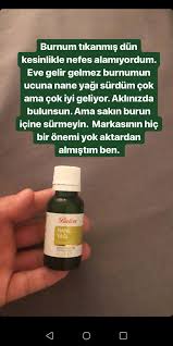 Burun Tikanikligi Icin Nane Bilgi Sakiz