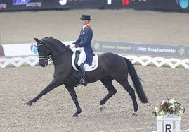 Edward gal and total us (totilas) have made their first olympic appearance together in tokyo for the grand prix dressage test with a score of 78%! Edward Gals Undercover Kehrt Nicht Mehr In Den Sport Zuruck