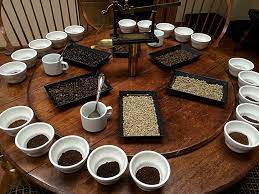 Tasting coffee in glass, coffee cups on table for tasting. A Guide To Coffee Cupping Brewminate