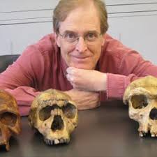 We did not find results for: Neanderthal Denisovan Ancestors Interbred With A Distantly Related Hominin Department Of Anthropology The University Of Utah