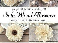 Largest selection of sola wood flowers online. Luv Sola Flowers Luvsolaflowers Profile Pinterest