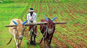 Pm kisan samman 7वी किस्त list details at pmkisan.gov.in | kisan samman nidhi yojana beneficiary list & payment status pmkisan.gov.in. Pm Kisan Completes Two Years Today Scheme Has Rs 6 000 Year Benefit For Farmers Know Which Farming Families Are Eligible Or Not Eligible News 2 O